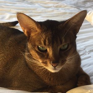 Meet your Posher, Natasha